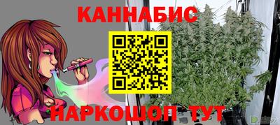 apvp Канаш