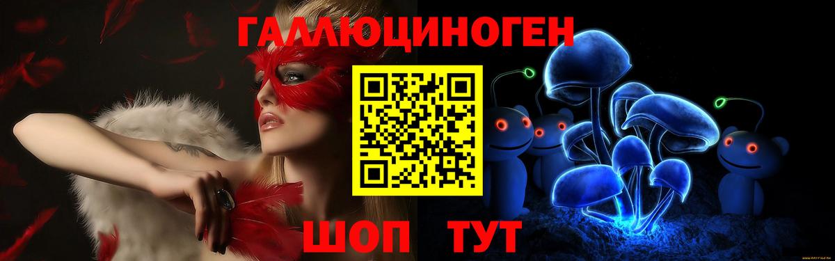 Галлюциногенные грибы мицелий  Вход с VPN  Кузнецк 